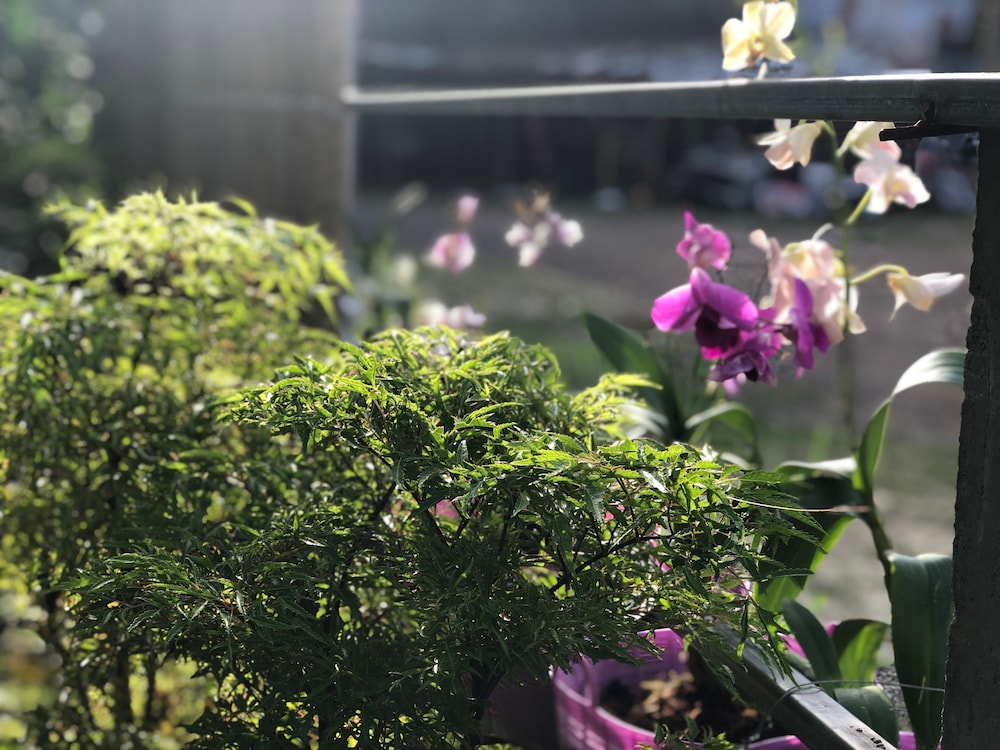 Poonsiri Resort Aonang 25/31