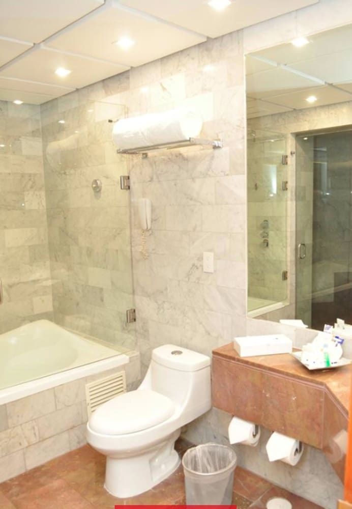 Royal Pedregal Hotel 46/47