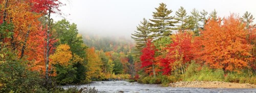RiverWalk Resort at Loon Mountain 65/70