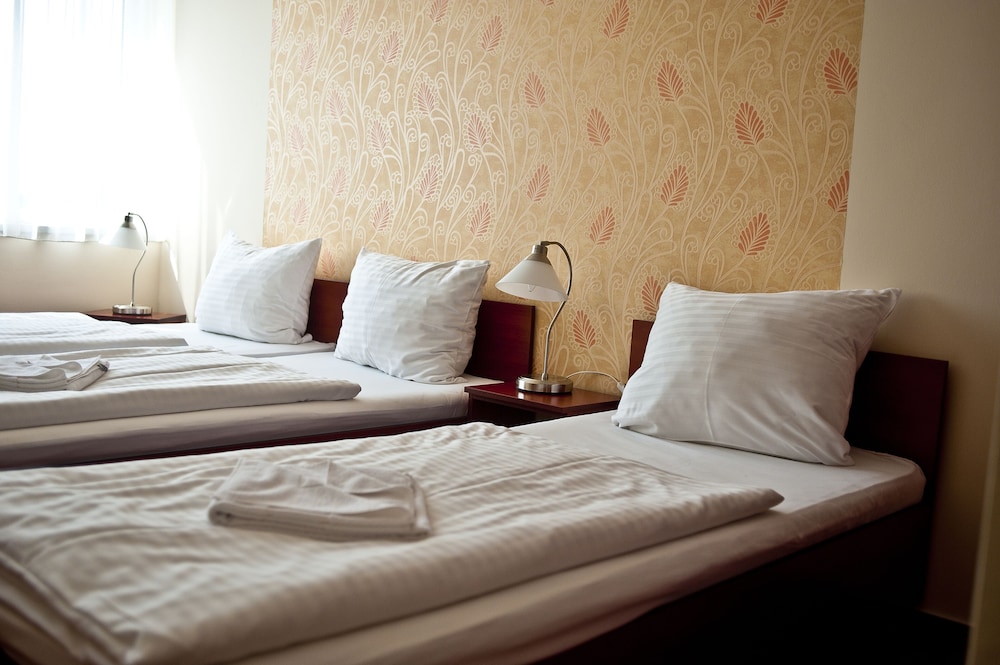Canada Hotel Budapest 13/50