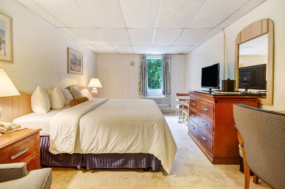 Rodeway Inn Suites 20/28
