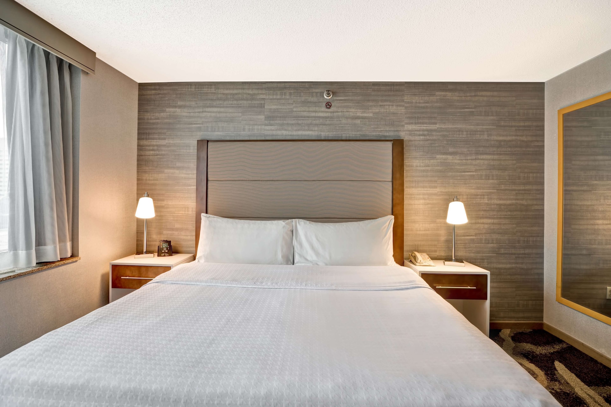 STUDIO, SUITE, KING BED, SOFA
