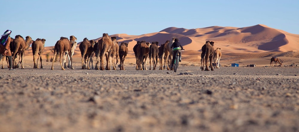 Kam Kam Dunes 27/48
