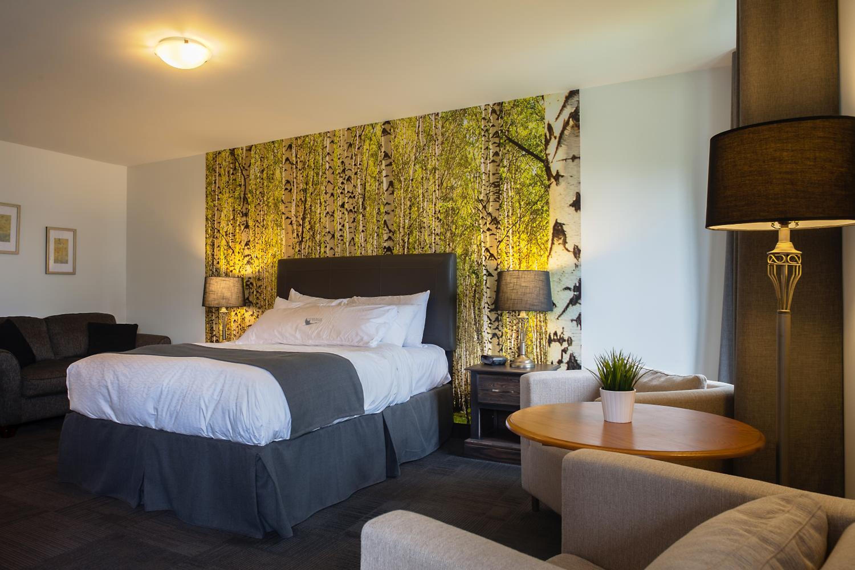 Standard, Queen Bed, Lake View