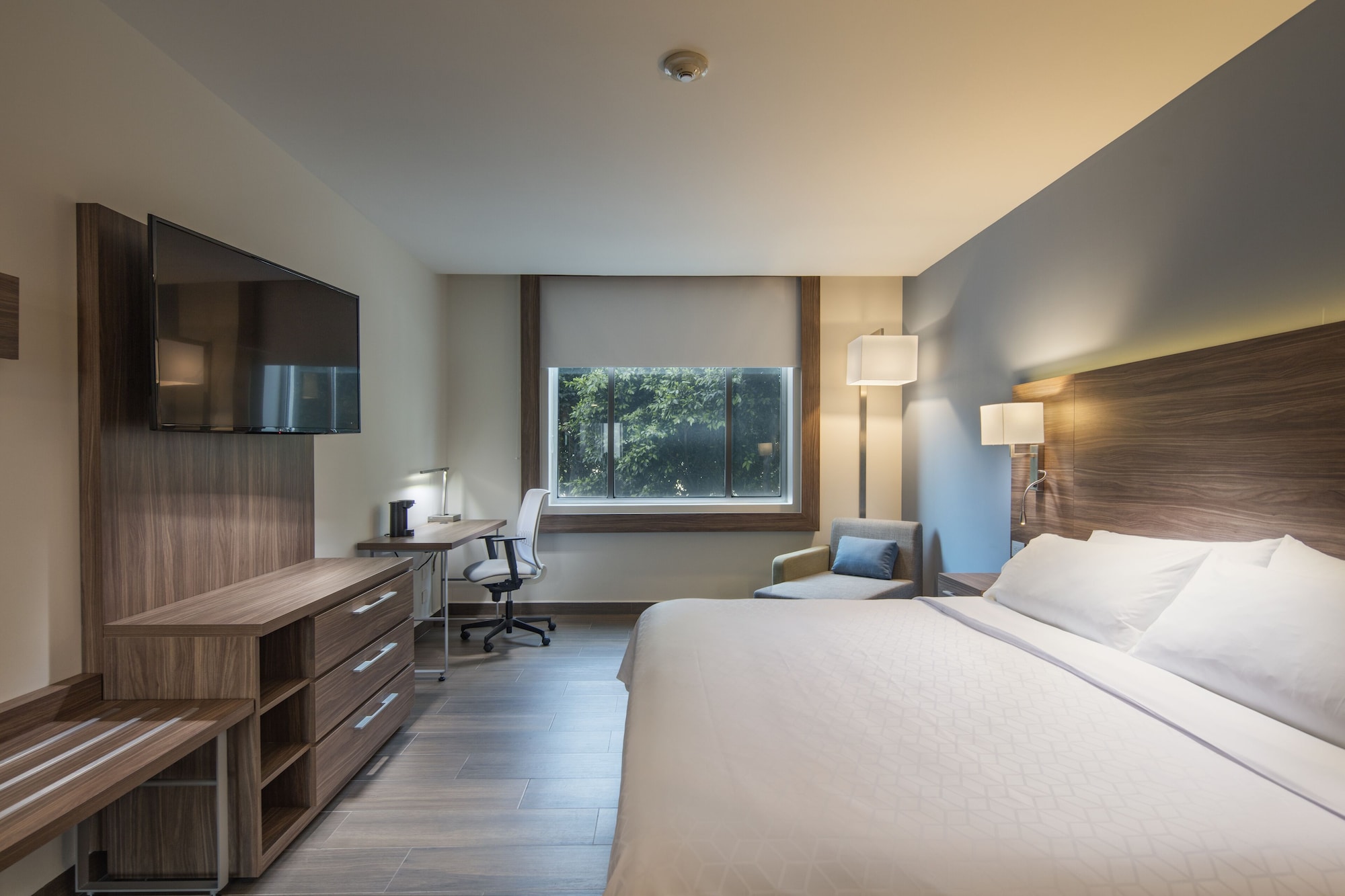 Standard, King Bed, Accessible