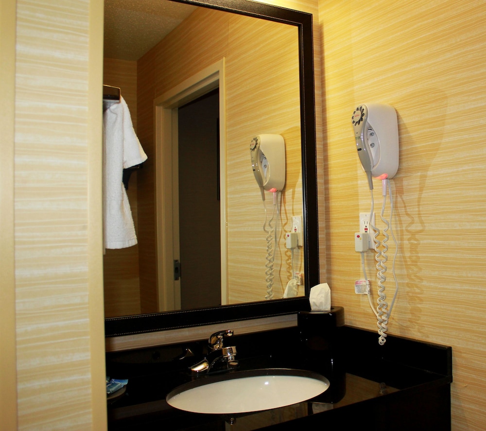 Fairfield Inn Suites By Marriott Detroit Farmington Hills 48/49