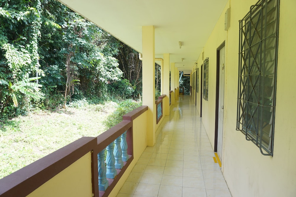 Palmy Home 3/21