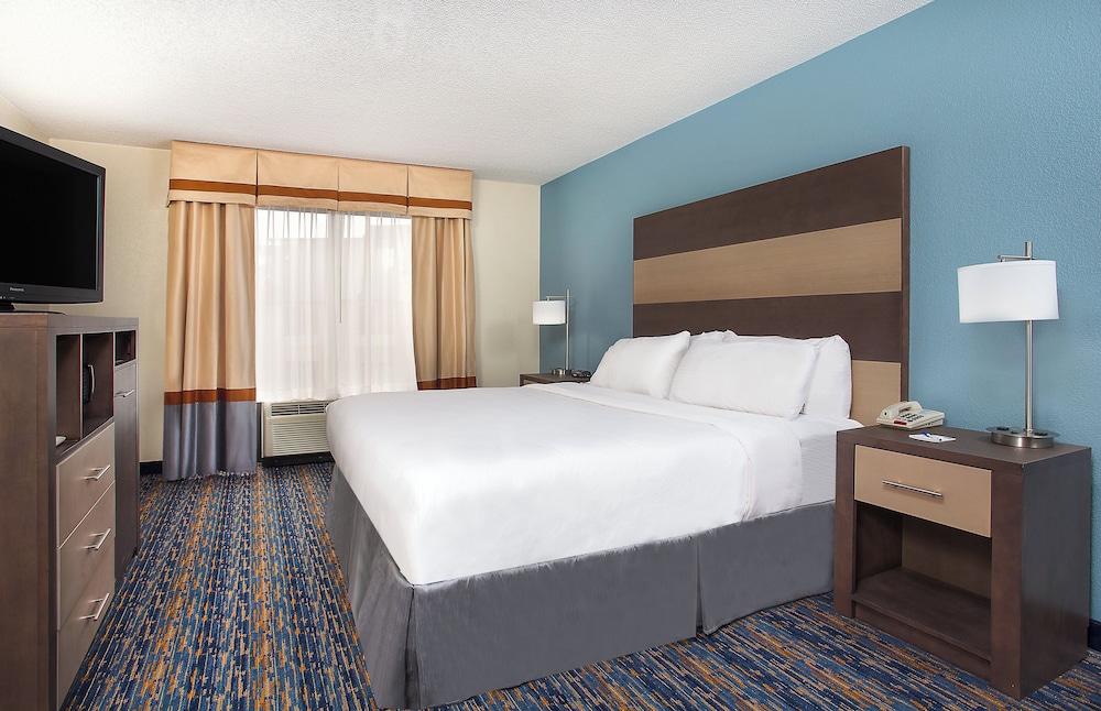 Suite, King Bed