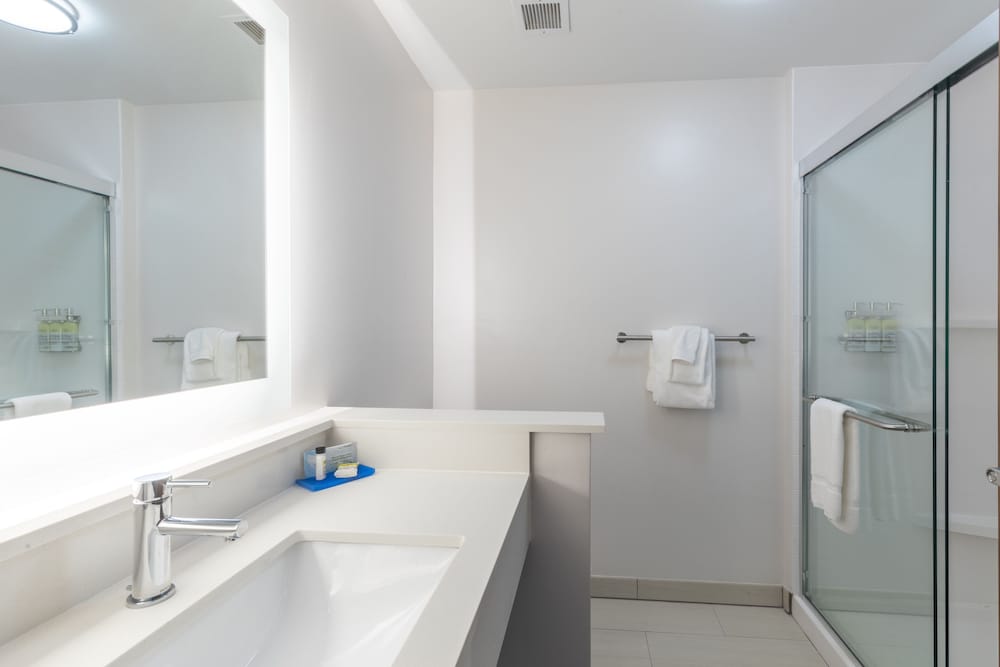 Holiday Inn Express & Suites Columbia Downtown – The Vista 27/60