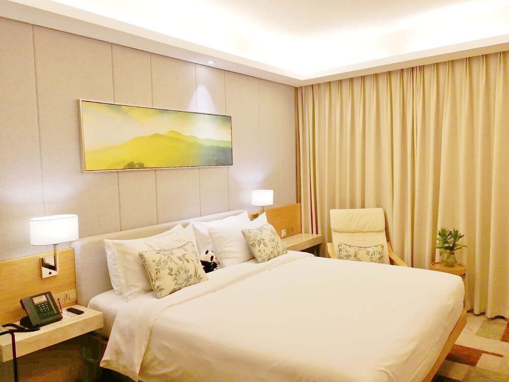 H-Hotel Riverside Chengdu 14/56
