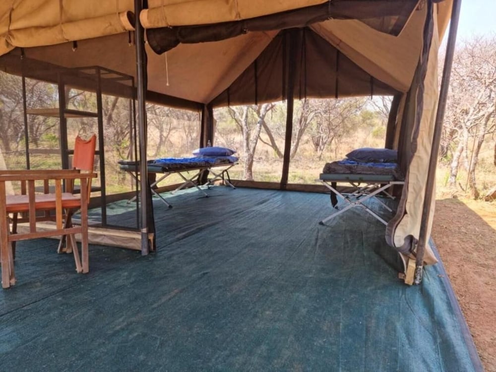 Zebra Country Lodge 24/50