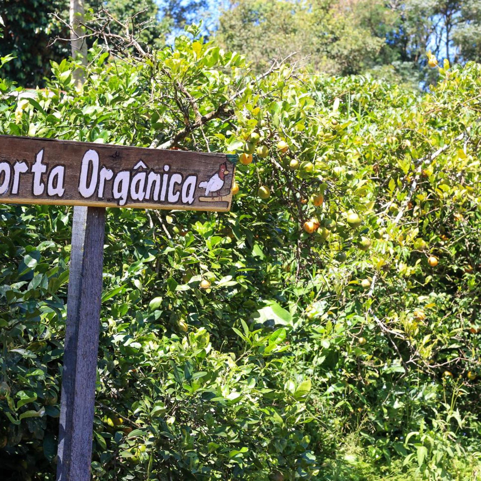 Hotel Fazenda Campo dos Sonhos 50/50