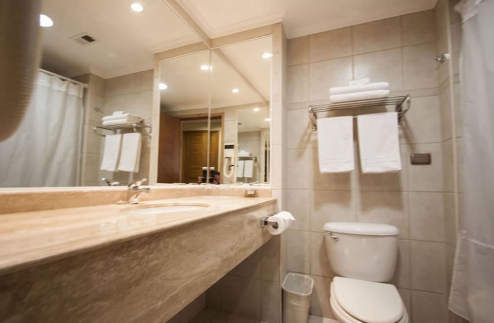 Hotel Diego de Almagro Valdivia 8/34