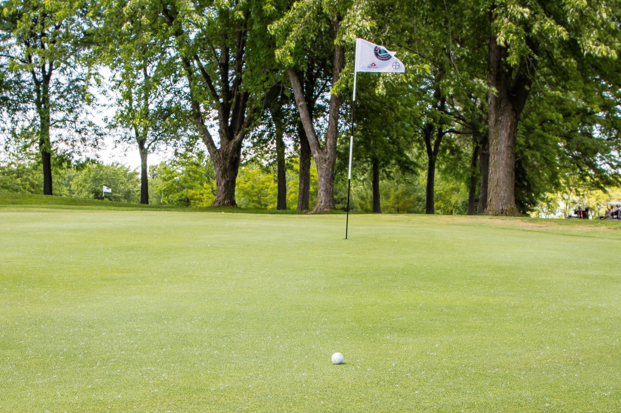 Forest Golf Club and Inn 17/19