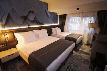 Deluxe, Triple, Multiple Beds