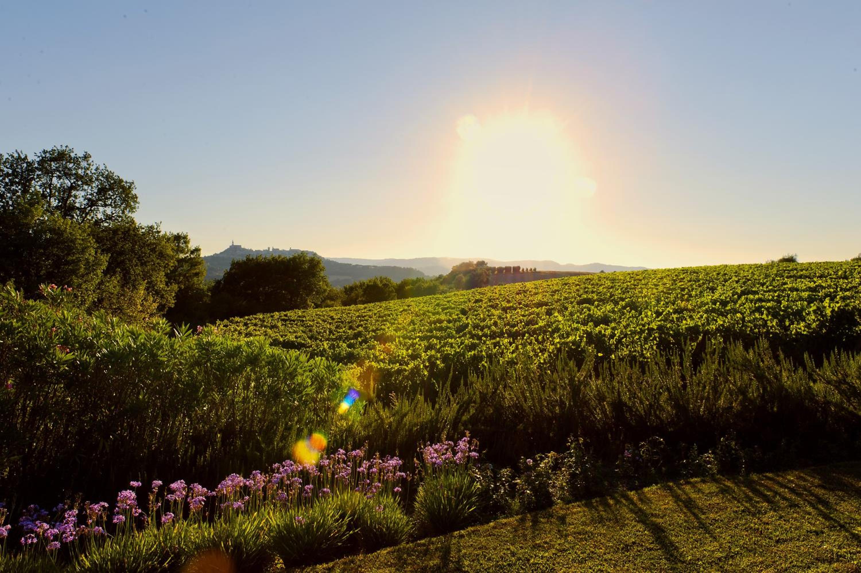 Roccafiore Country & Spa Resort 48/50