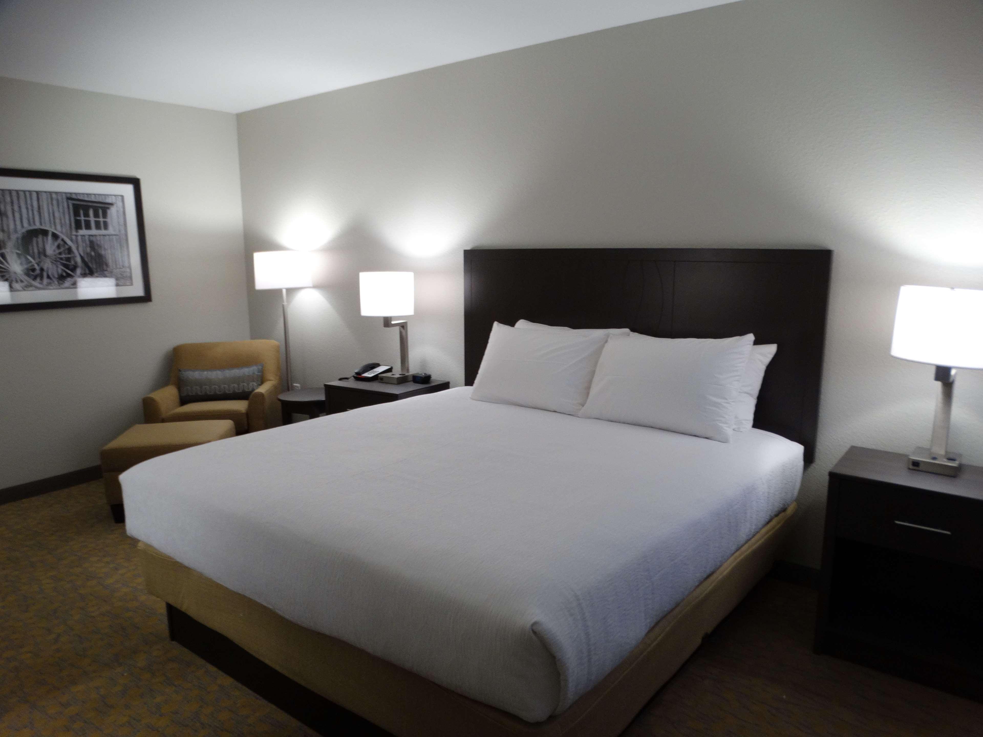 Suite, King Bed, Murphy Bed, Kitchen