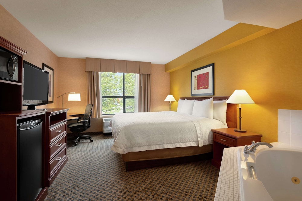 Hampton Inn and Suites by Hilton Langley Surrey 15/72