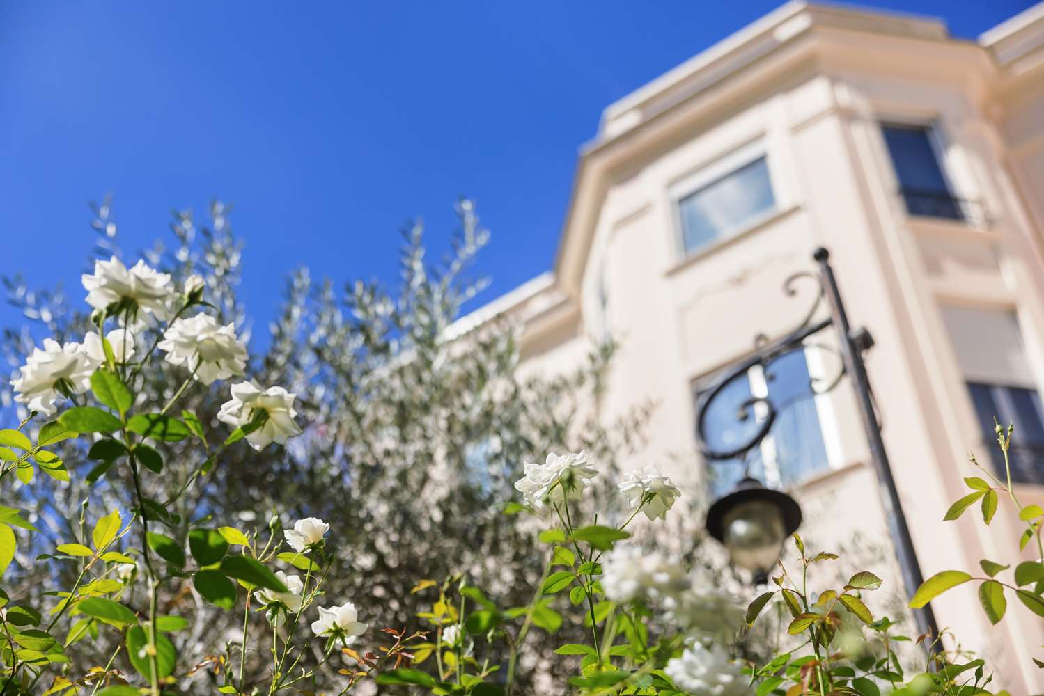 Best Western Plus Hotel Brice Garden in NICE