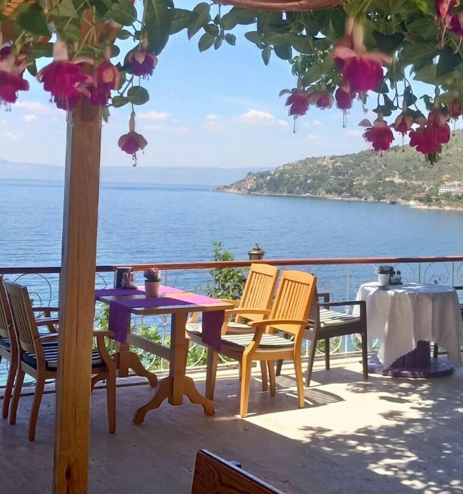 Hotel Mola 20/30