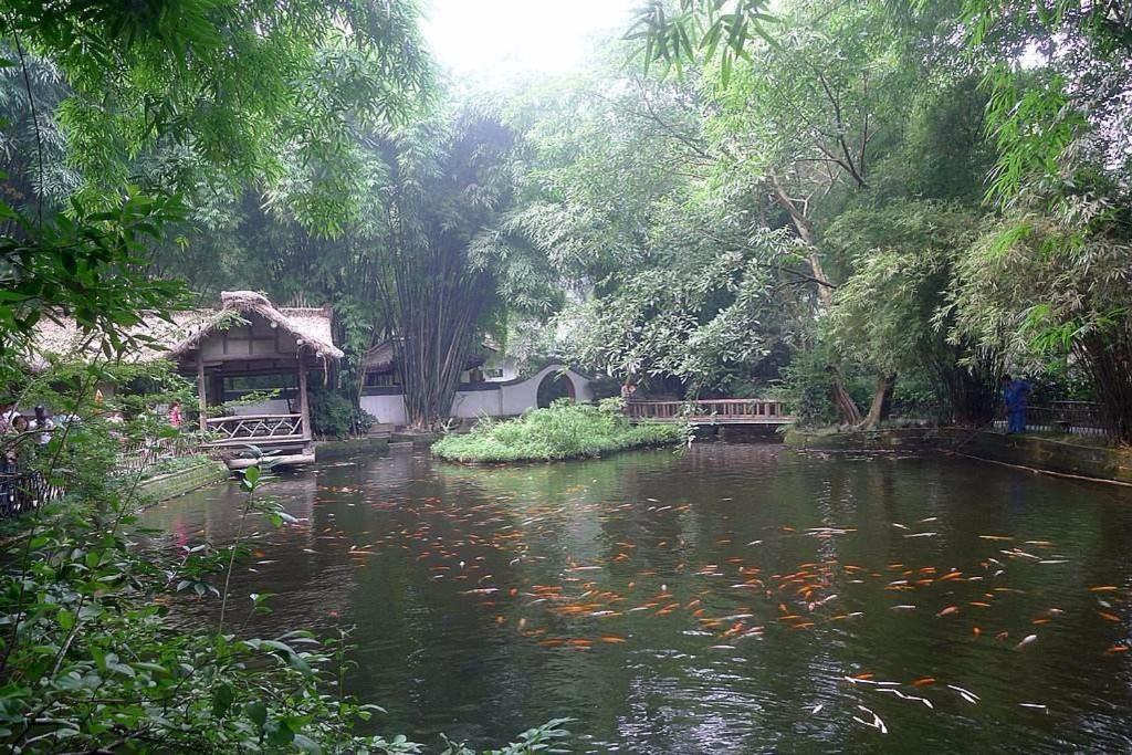 7 Days Youpin Hotel (Chengdu Dufu's Thatched Cottage Branch) 36/42