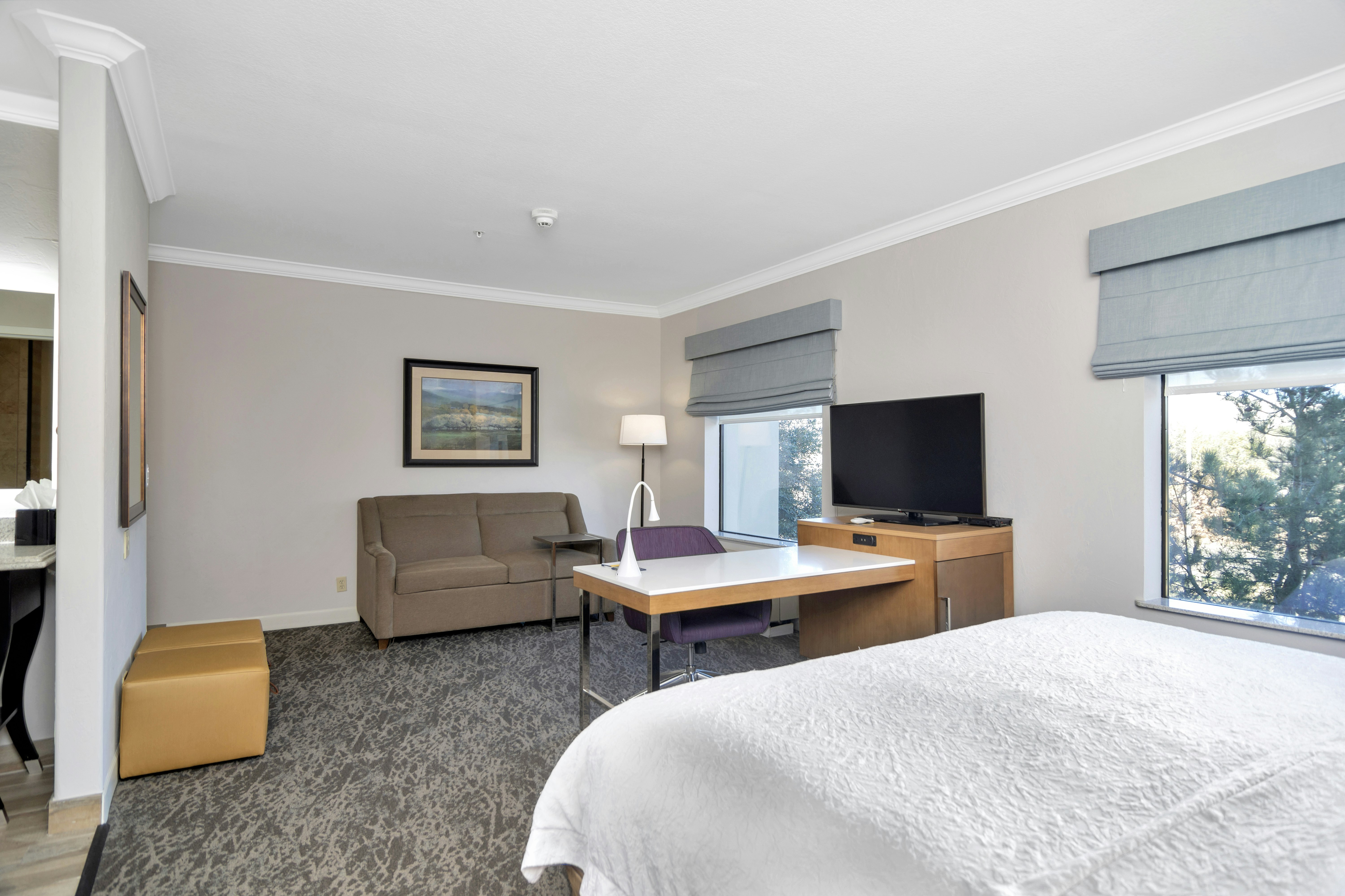 STUDIO, KING BED, ACCESSIBLE