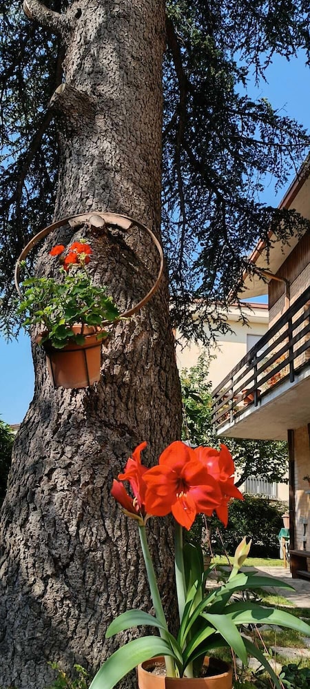 B&B Il Cedro 2/27