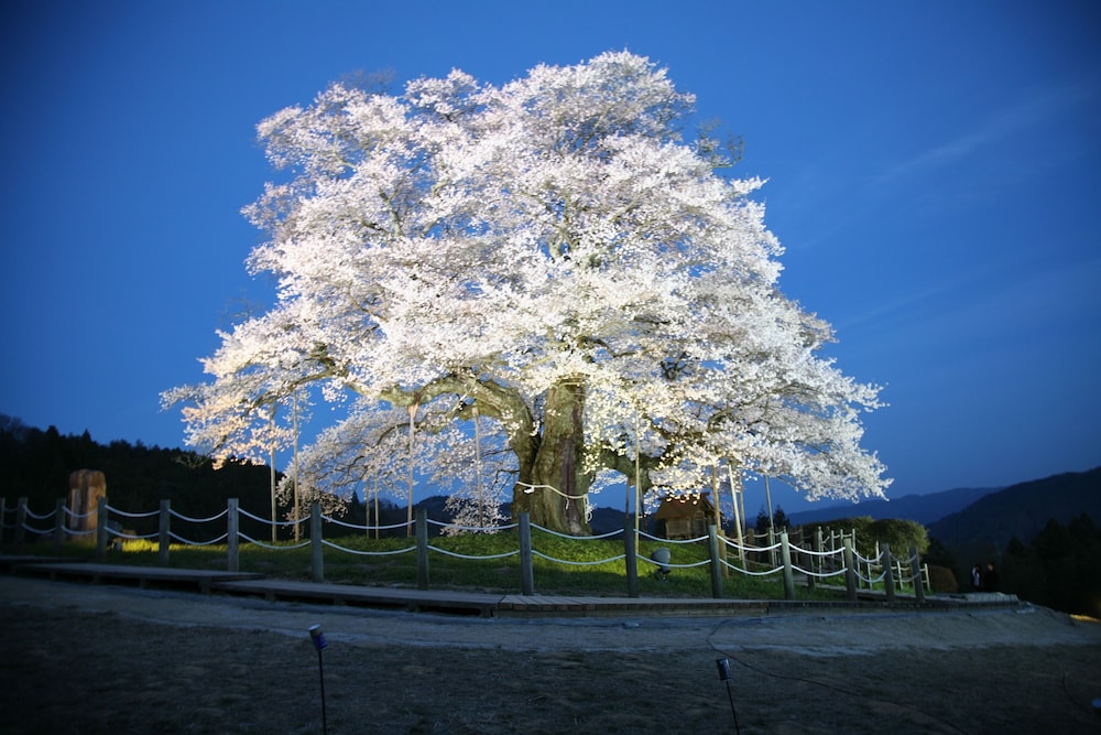 Yubaranoyado Komeya 36/37