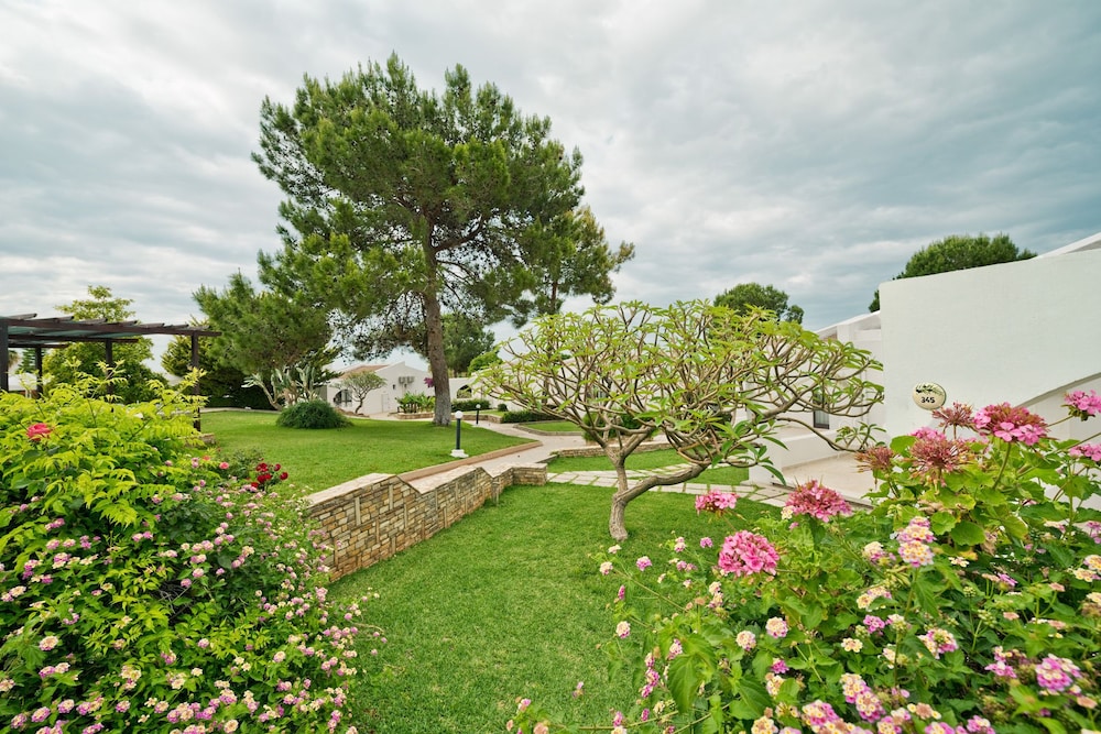 The Olive Tree Hotel 38/50