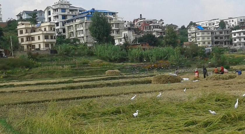Sanu House Hostel & Homestay 42/49