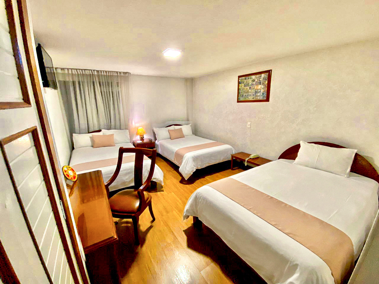Hotel Don Saul 15/50