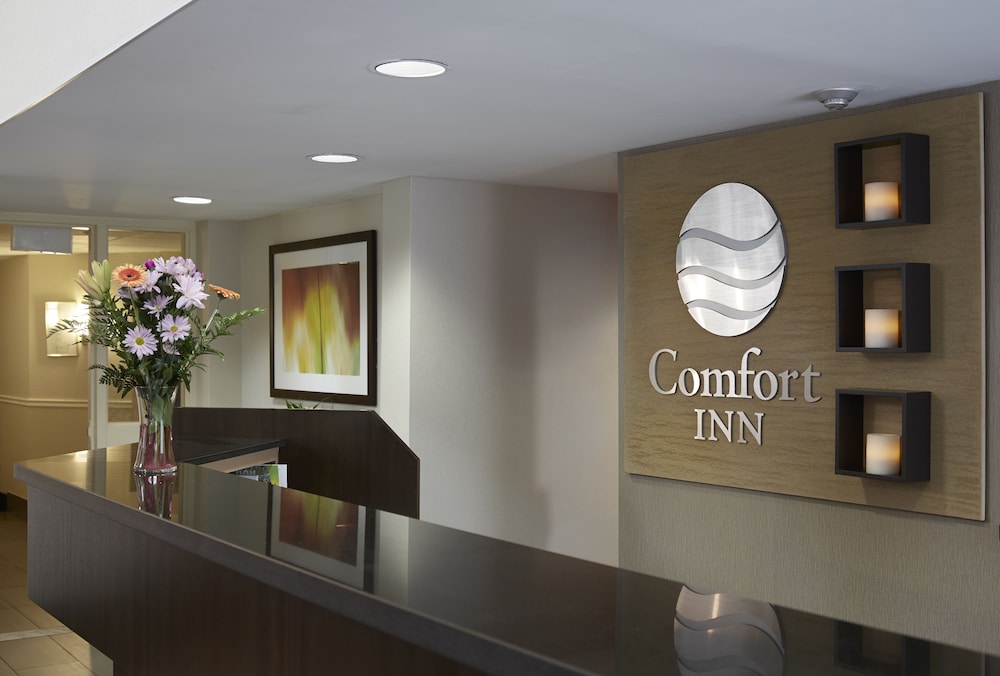 Comfort Inn Kenora, ON 6/37