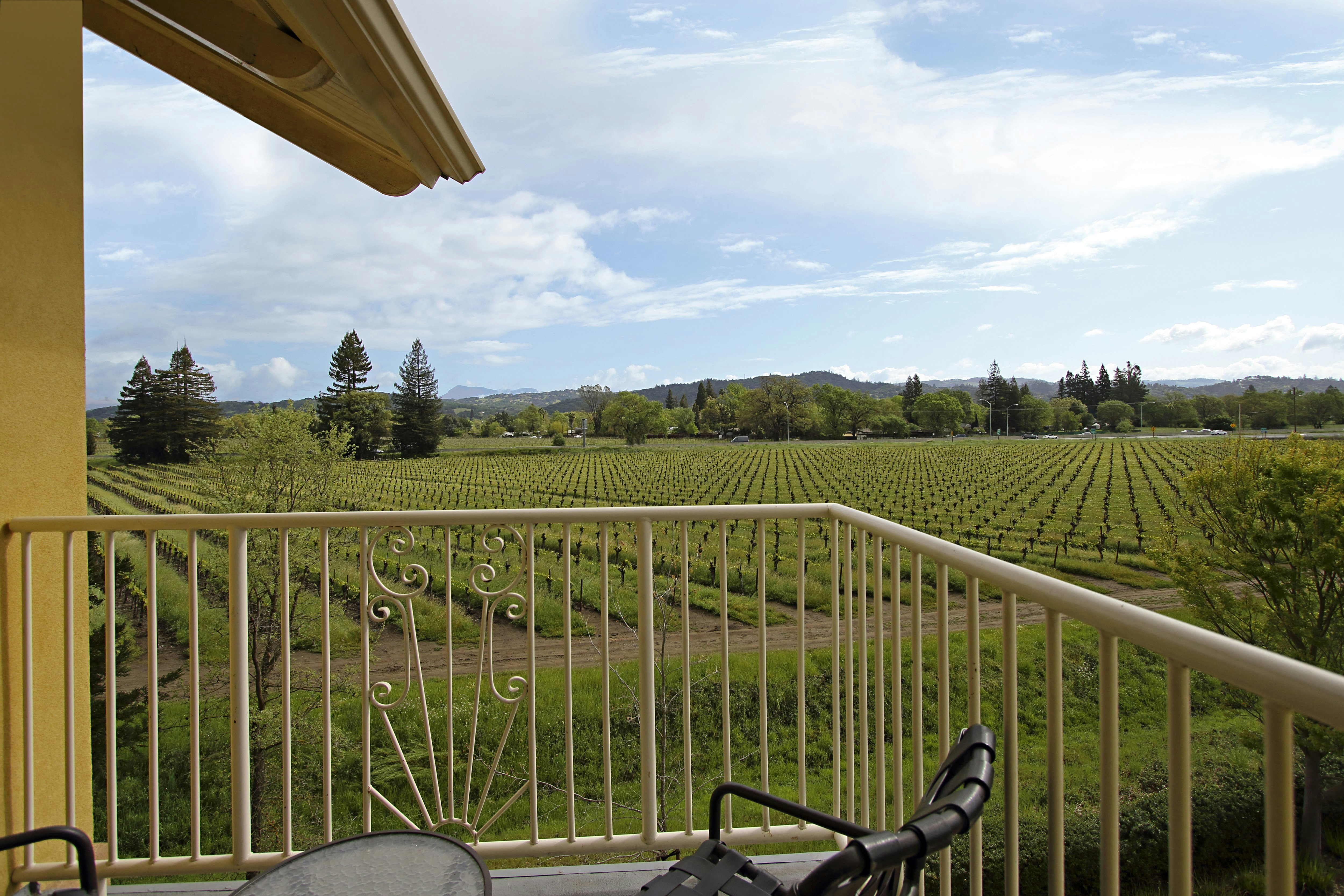Hilton Garden Inn Sonoma County Airport 24/59