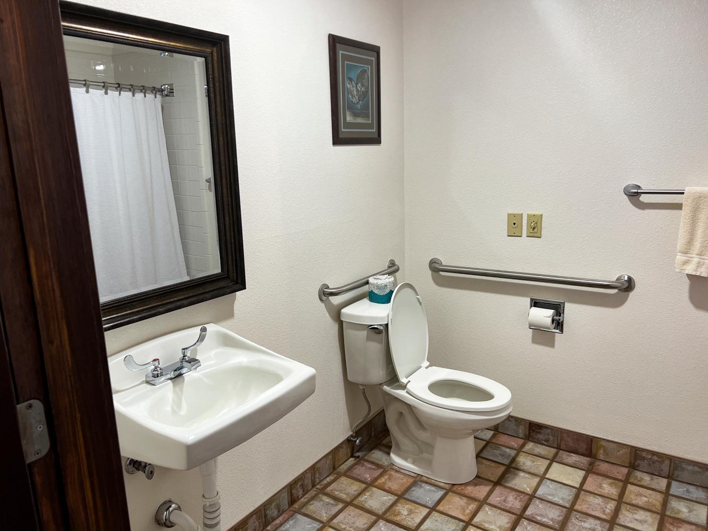غرفة قياسية بسرير كينج، Desert Rose Resort & Cabins 6/6