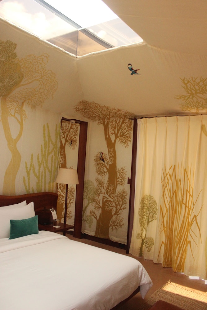 RAAS Chhatrasagar 12/50