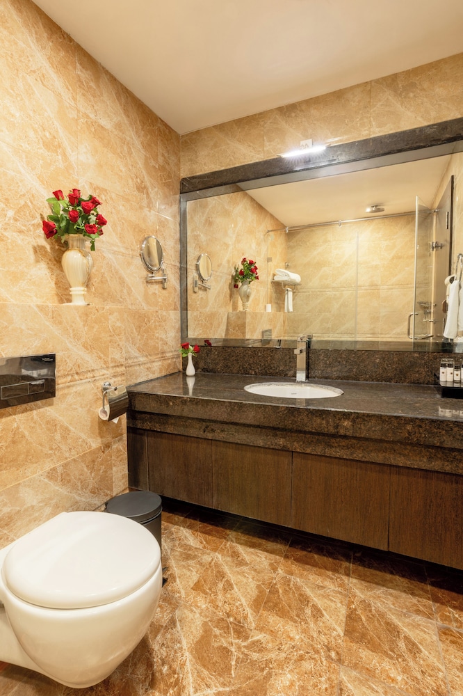 Patliputra Continental Hotel 50/50