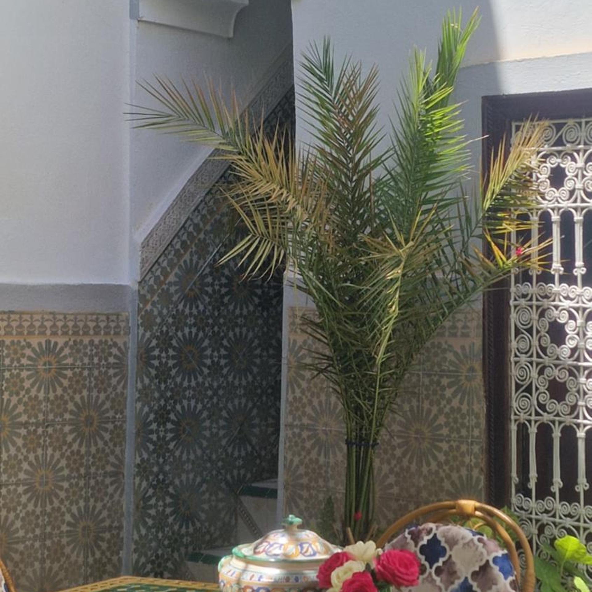 RIAD DALIA 16/43