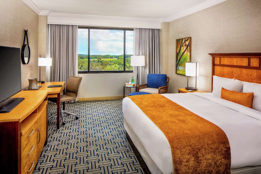 ROOM, KING BED, ACCESSIBLE
