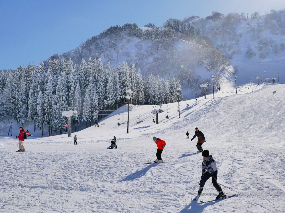 ICHIRINO KOGEN HOTEL ROAN 41/47