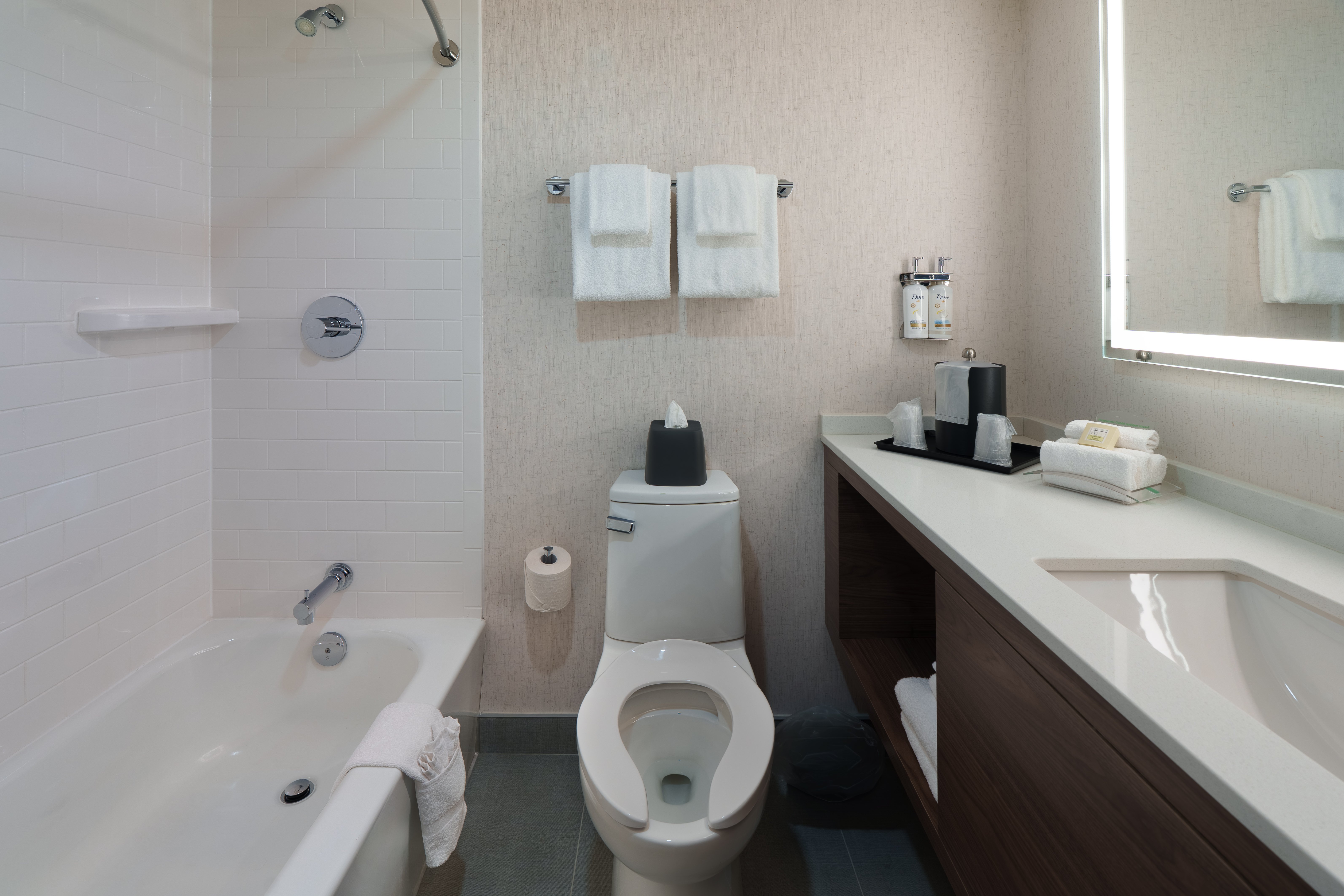 Holiday Inn Laval Montreal 80/80
