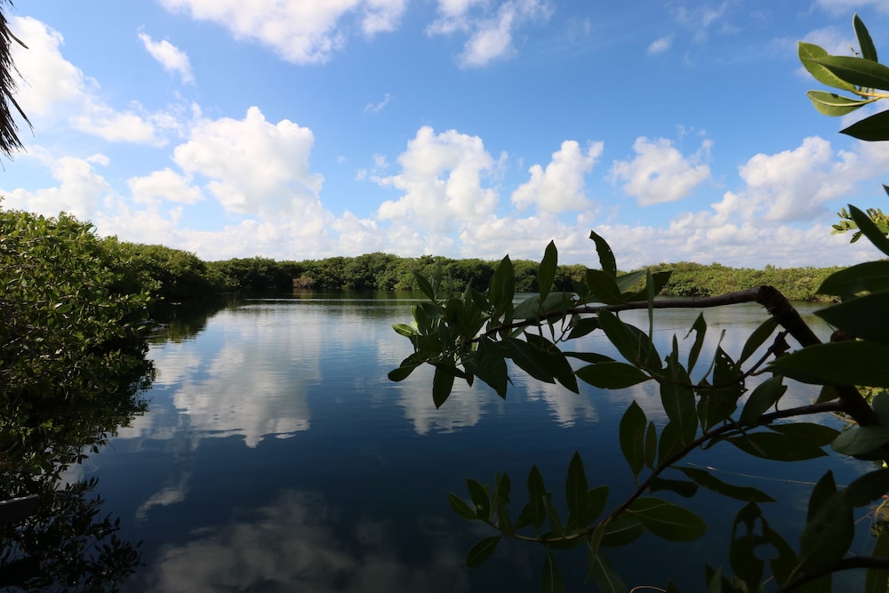 Cormoran Hotel Boutique & Cenote 35/48