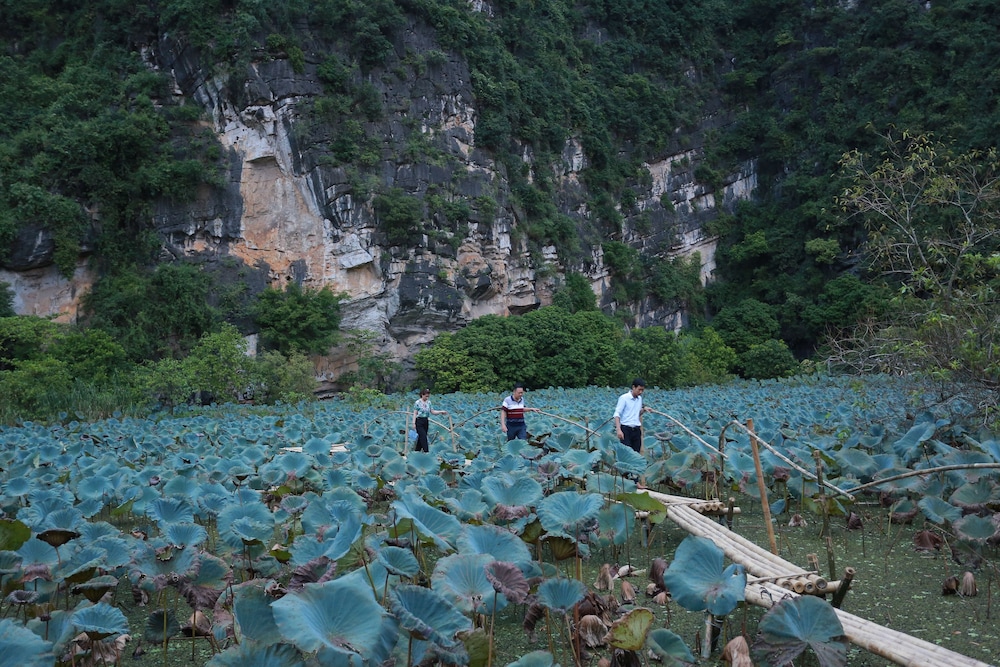 Trang An Eco Homestay Ninh Binh 36/50