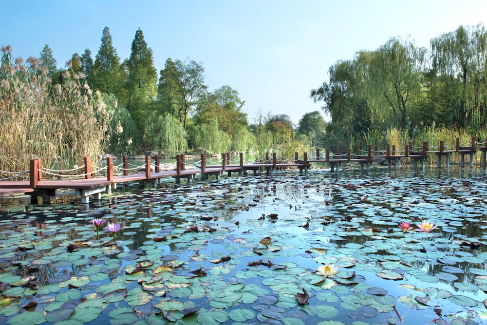 Jinji Lake Grand Hotel Club 11/57