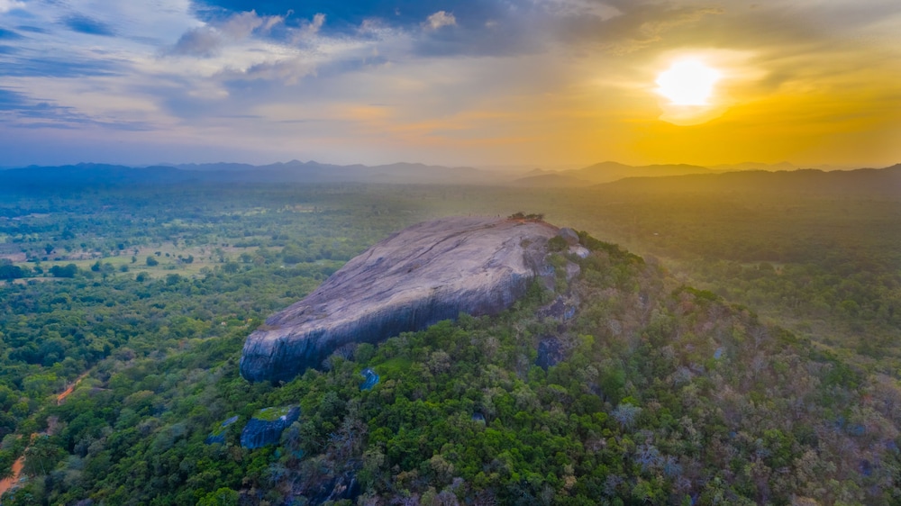 Sigiriya Kings Resort 56/61