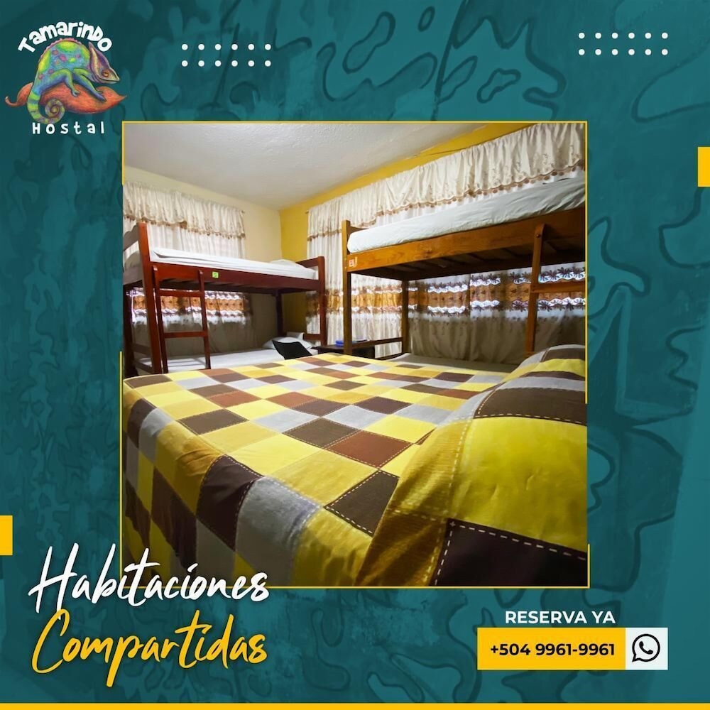 Tamarindo hostel 20/50