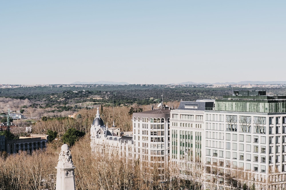 Dear Hotel Madrid 67/69