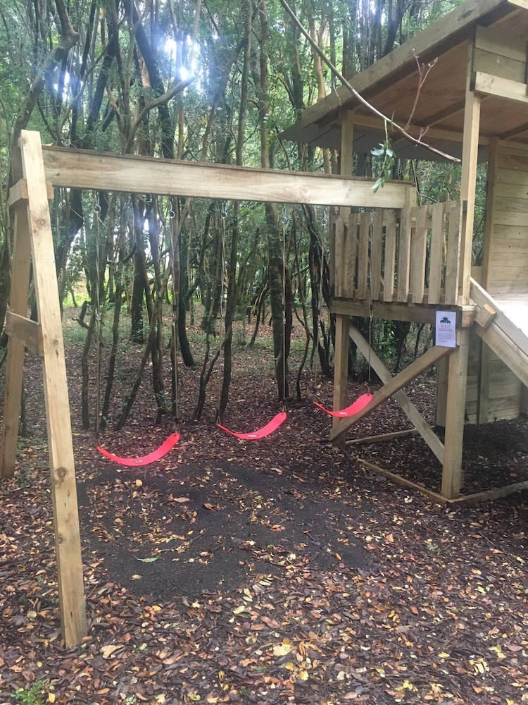 Cabanas Anulen Bosque Nativo 19/49