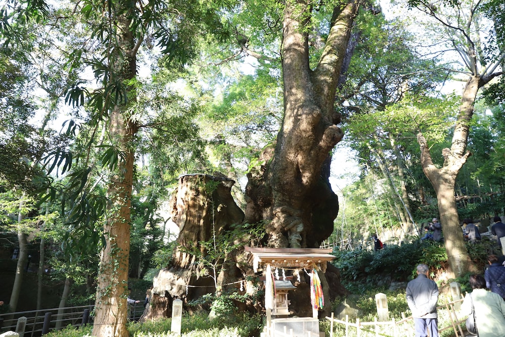 Atami Kinomiyanoyu Shogetsu 26/27