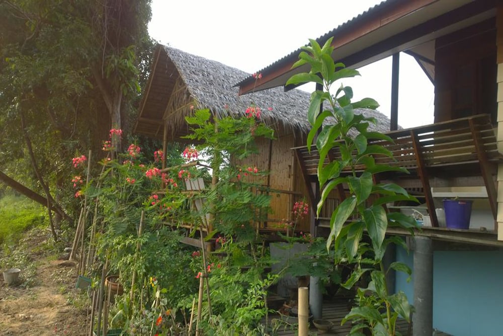 Cast Away Homestay 45/50