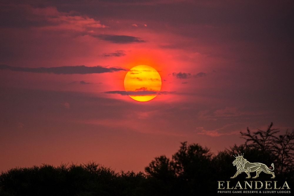 Elandela Private Game Reserve And Luxury Lodge 2/50